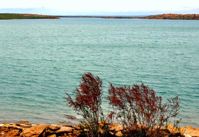 Turkmen Scientists To Thoroughly Study Altyn Asyr Lake