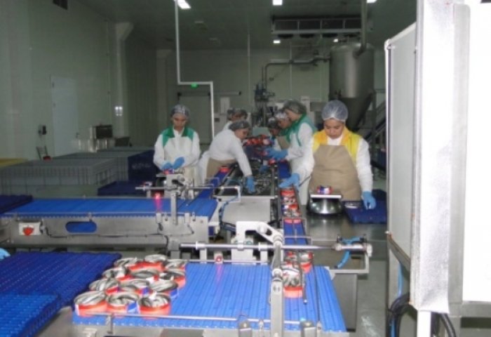 “Hazar balykda” ýylda 100 tonna bekre eti öndürilýär “Hazar balykda” ýylda 100 tonna bekre eti öndürilýär