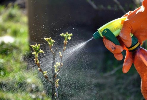 Turkmenabat Chemical Plant Plans to Launch Liquid Fertilizer Production