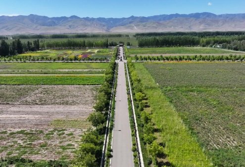 Central Asian Countries Prepare Climate Project to Protect Soil Resources