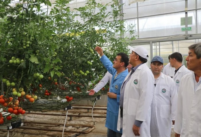 Gazak wekiliýeti Türkmenistana saparynyň dowamynda oba hojalygyndaky hyzmatdaşlygyň mümkinçiliklerini öwrenýär Gazak wekiliýeti Türkmenistana saparynyň dowamynda oba hojalygyndaky hyzmatdaşlygyň mümkinçiliklerini öwrenýär