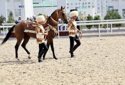 Xi Jinping Receives Akhal-Teke Horse as Gift From Turkmenistan