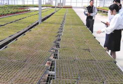 Turkmen Scientists Exchange Expertise on Combating Desertification in China