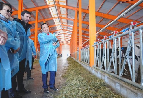 FAO Director-General Visits Turkmenistan’s Altyn Halka Livestock Complex