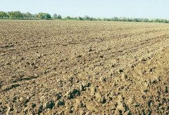 Turkmenabat Chemical Plant and Academy of Sciences Develop Anti-Salinization Products