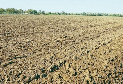 Turkmenabat Chemical Plant and Academy of Sciences Develop Anti-Salinization Products