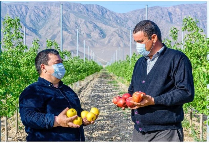 Ykdysady ösüşde oba hojalygynyň ähmiýeti Ykdysady ösüşde oba hojalygynyň ähmiýeti