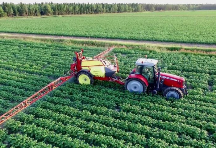 Dashoguz Province to Harvest 123.2 Thousand Tons of Potatoes Dashoguz Province to Harvest 123.2 Thousand Tons of Potatoes