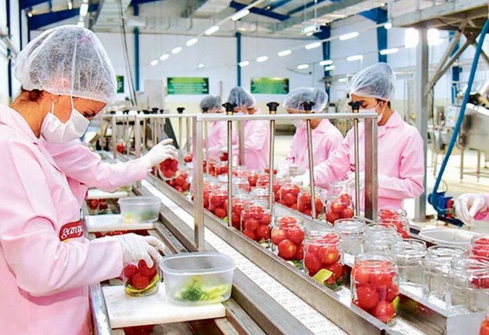 Turkmenistan Successfully Implements Food Independence Strategy, Says Expert Trapeznikov Turkmenistan Successfully Implements Food Independence Strategy, Says Expert Trapeznikov
