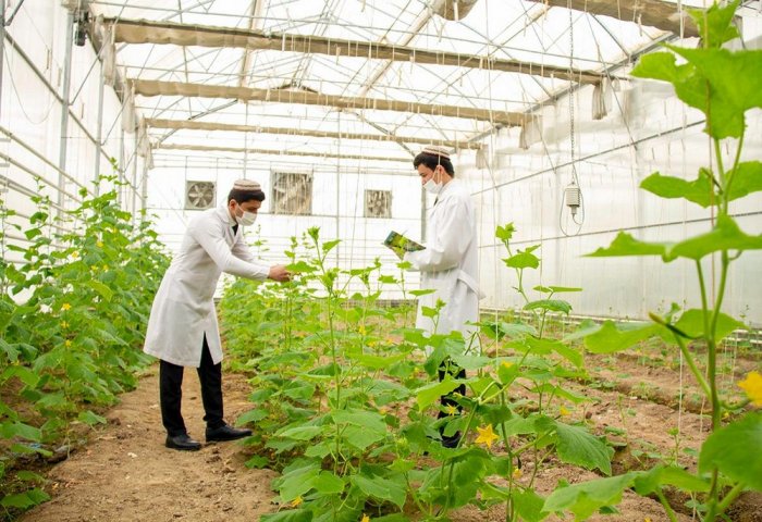 Turkmenistan to Establish Livestock and Veterinary Research Institute Turkmenistan to Establish Livestock and Veterinary Research Institute