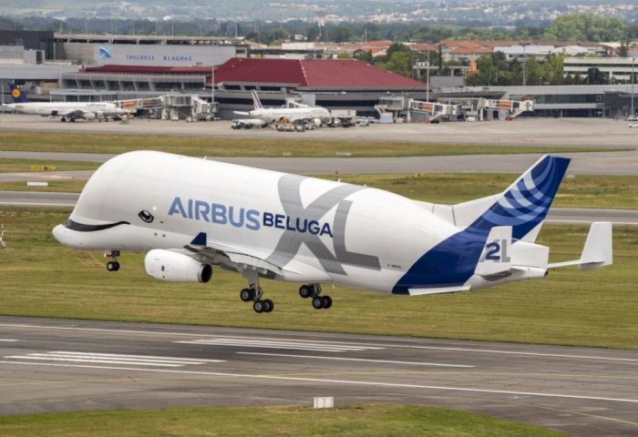 Airbus «Beluga XL» поднимается в небо Airbus «Beluga XL» поднимается в небо