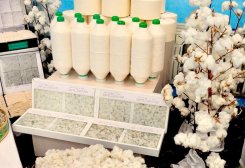 SCRMET Sells Cotton Fiber Worth 67.6 Million Manats