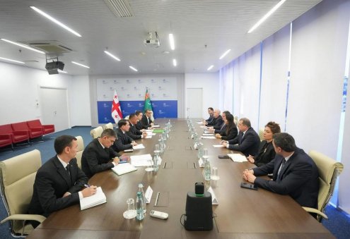 Türkmenistan we Gruziýa söwda-ykdysady hyzmatdaşlygy giňeltmegi maslahatlaşdylar