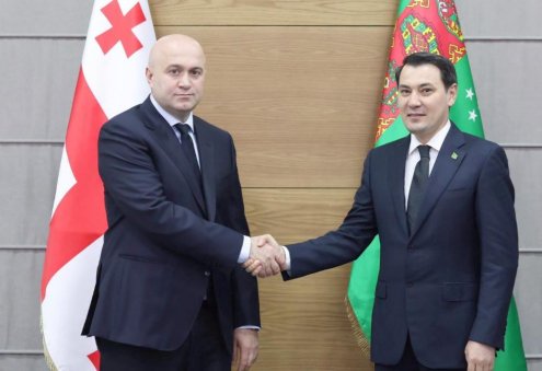 Türkmen ilçisi Gruziýanyň Içeri işler ministri bilen duşuşdy