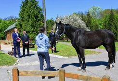 Turkmenistan, Ukraine Discuss Cooperation in Equine Specialist Training