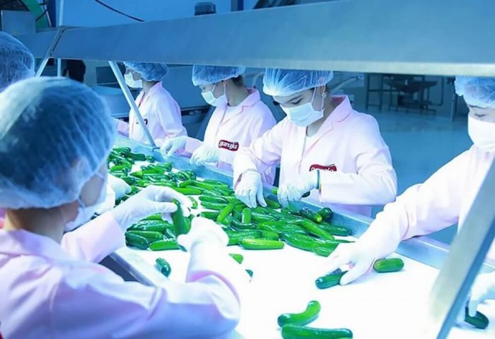 Türkmenistanda ýanwar – awgust aýlarynda önümçiligiň mukdary 5,5% artdy Türkmenistanda ýanwar – awgust aýlarynda önümçiligiň mukdary 5,5% artdy