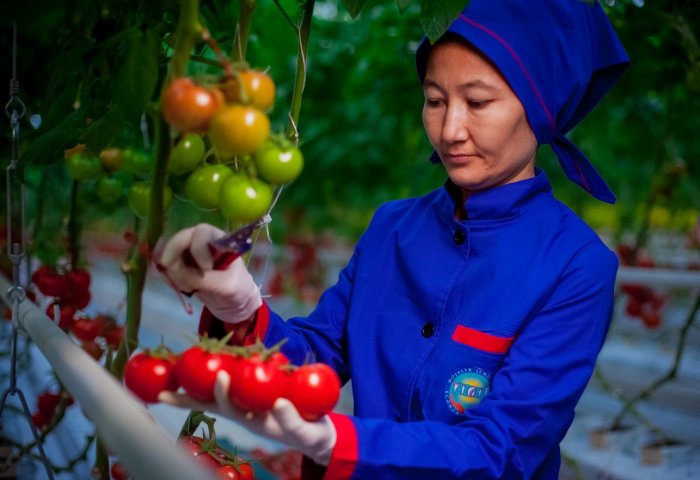 Туркменские предприниматели экспортировали продукцию на сумму более $25 млн