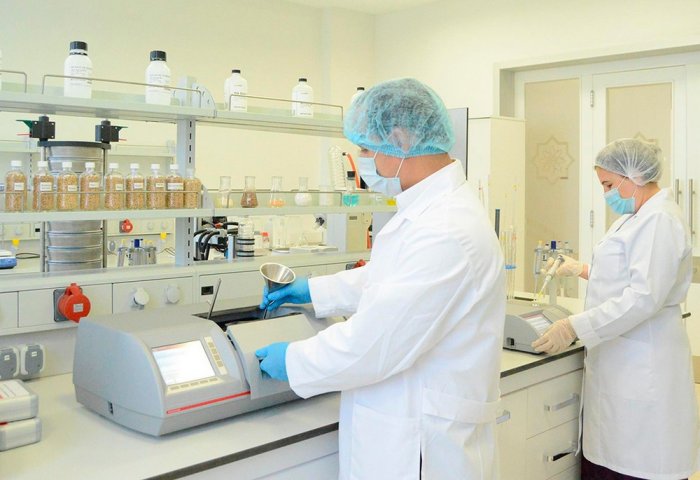 Turkmen Scientists Extract Valuable Antioxidant from Local Grapes Turkmen Scientists Extract Valuable Antioxidant from Local Grapes