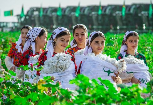Turkmenistan and Kyrgyzstan Explore Cotton Supply Mechanism