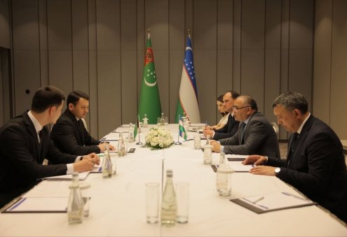Turkmenistan, Uzbekistan Eye Expansion of Joint Agricultural Projects