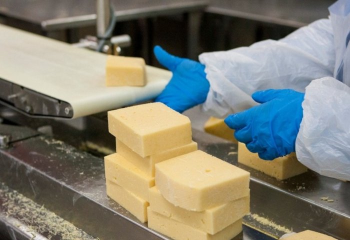 Şabat наладил производство обогащённого варианта сыра Şabat наладил производство обогащённого варианта сыра