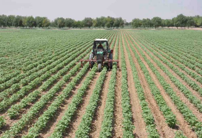 Turkmen Plant Produces 200 Types of Agricultural Machinery Spare Parts Turkmen Plant Produces 200 Types of Agricultural Machinery Spare Parts