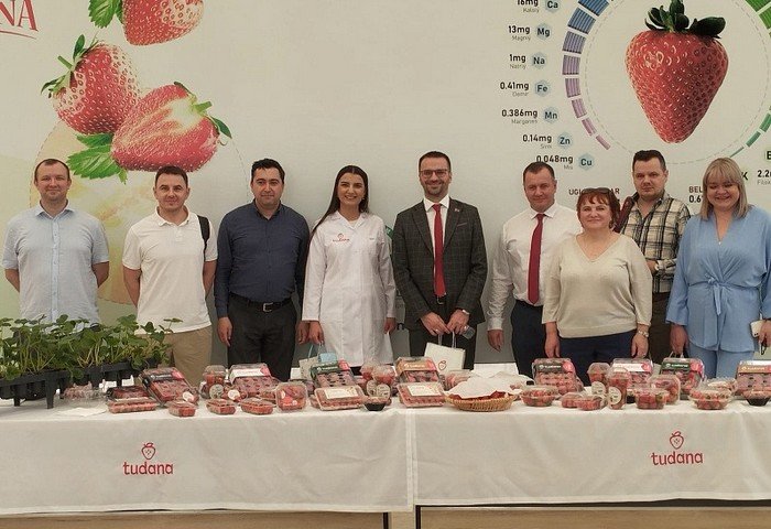 Свежие овощи и фрукты из Туркменистана поступят на белорусский рынок Свежие овощи и фрукты из Туркменистана поступят на белорусский рынок