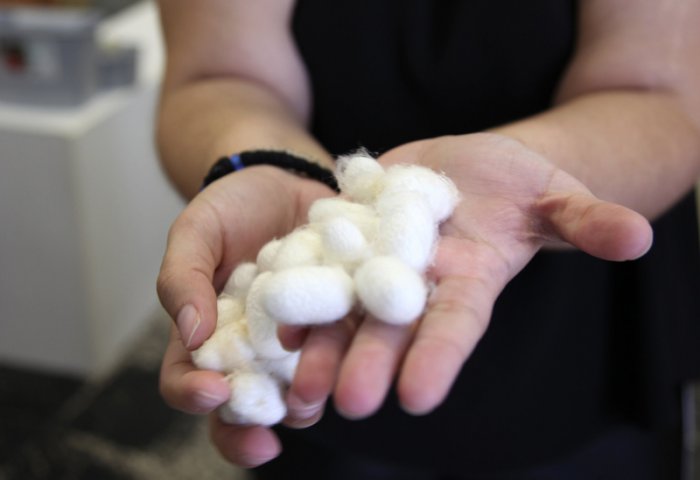 Naýbaşy grek egin-eşik brendleri ýerli ýüpek matalaryny ulanýarlar Naýbaşy grek egin-eşik brendleri ýerli ýüpek matalaryny ulanýarlar