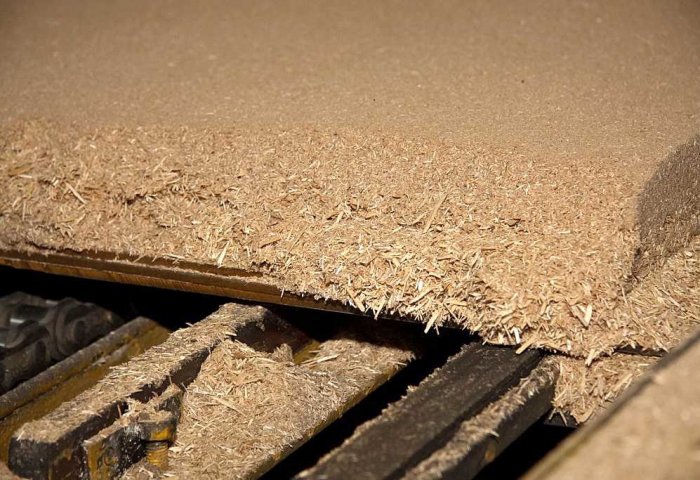 Agaýana Enterprise Intends to Export Particleboard