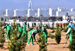 Turkmenistan to Hold National Tree-Planting Campaign