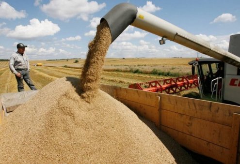 Global Food Prices Fall For Fifth Month in August