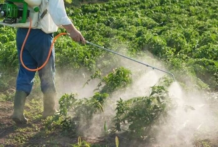 Dünýäde dökün bahalarynyň ýokarlanmagyna garaşylýar Dünýäde dökün bahalarynyň ýokarlanmagyna garaşylýar