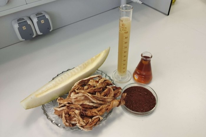 Туркменские ученые создали безопасные и полезные пищевые полуфабрикаты Туркменские ученые создали безопасные и полезные пищевые полуфабрикаты