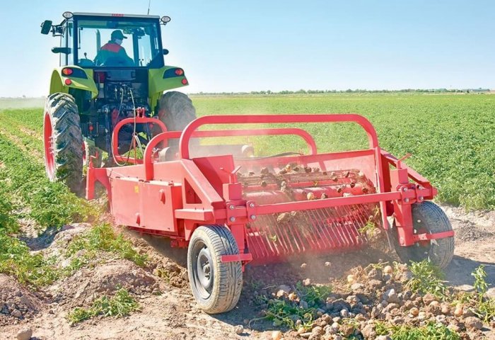 Turkmenistan’s South-Eastern Province Harvests 251.8 Thousand Tons of Vegetables Turkmenistan’s South-Eastern Province Harvests 251.8 Thousand Tons of Vegetables