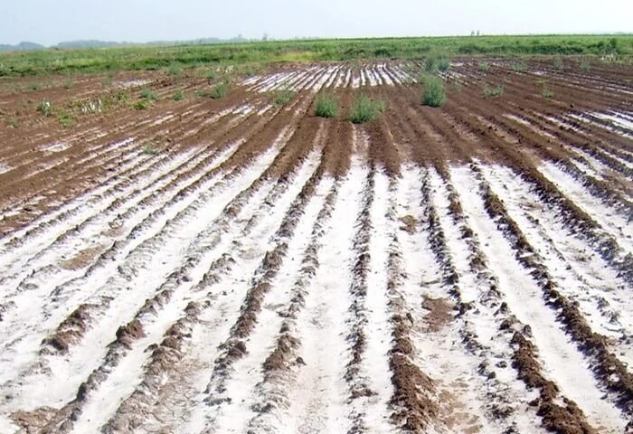 FAO Türkmenistanda şor ýerleriň kartasyny düzmek boýunça onlaýn okuw geçirdi FAO Türkmenistanda şor ýerleriň kartasyny düzmek boýunça onlaýn okuw geçirdi