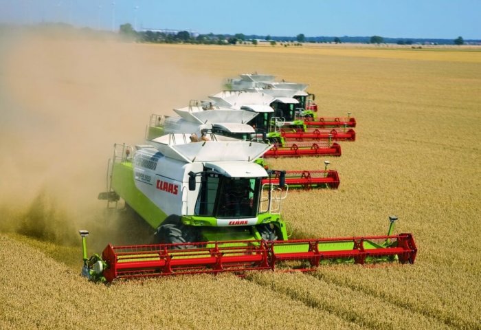 ФАО: Мировые цены на продовольствие продолжают снижаться в июле ФАО: Мировые цены на продовольствие продолжают снижаться в июле