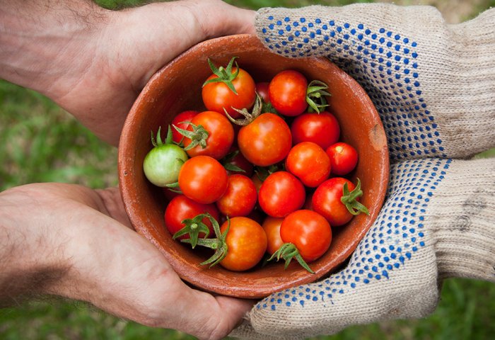“Altyn gala gurluşyk” täze ýyladyşhanasynyň gurluşygyny tamamlaýar “Altyn gala gurluşyk” täze ýyladyşhanasynyň gurluşygyny tamamlaýar