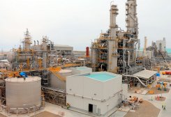 Turkmenistan's President Appoints New Head of Türkmenhimiýa