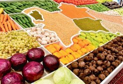 2025: Turkmenistan’s Food Exports Rise 30%