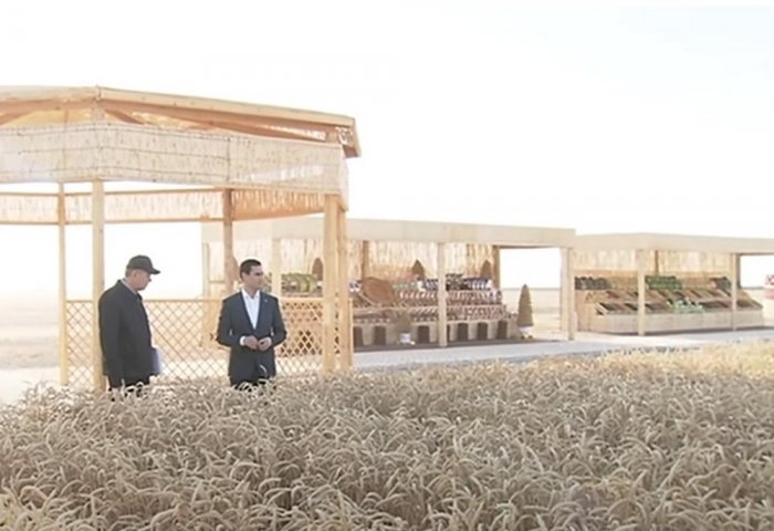 Türkmenistan Devlet Başkanı, Balkan vilayetine çalışma ziyareti gerçekleştirdi