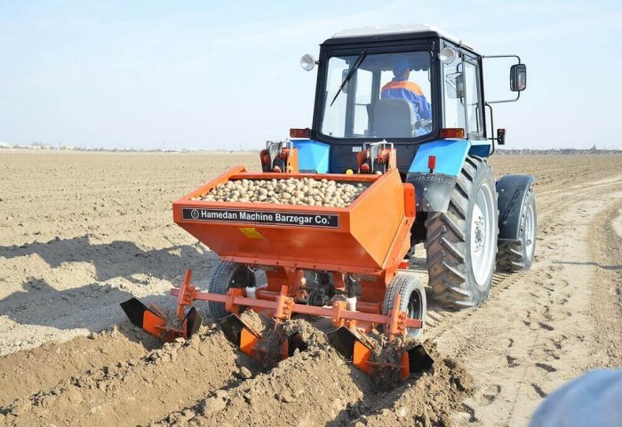 Turkmenistan to Sow Vegetables on 106 Thousand Hectares of Land Turkmenistan to Sow Vegetables on 106 Thousand Hectares of Land