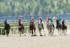 Turkmenistan Establishes State Organizing Committee for International Equestrian Competitions