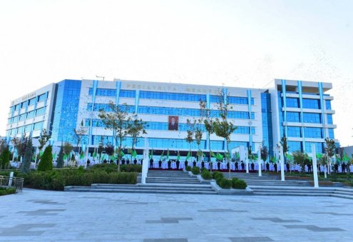 Serdar Berdimuhamedov Attends Opening of New Medical Centers