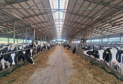 Turkmenistan Studies Georgia’s Experience in Implementing Animal Identification System