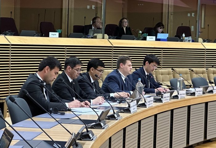 Turkmenistan-EU Energy Working Group Meets in Brussels Turkmenistan-EU Energy Working Group Meets in Brussels