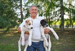 Gurbanguly Berdimuhamedov Gifts Two Alabai Puppies to Tatarstan Head