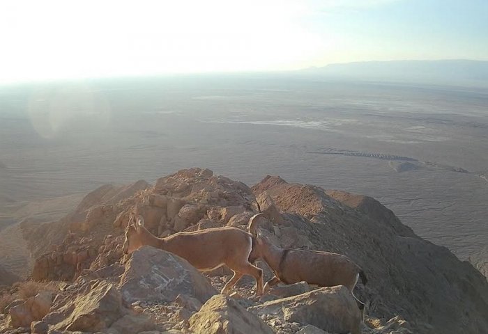 New Protected Areas Proposed in Balkan Velayat New Protected Areas Proposed in Balkan Velayat