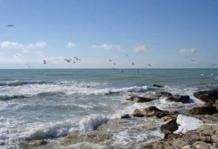 UNEP, UNOPS to Implement Blueing the Caspian Sea Project