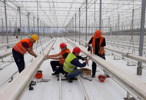 Lebap Province to Expand Greenhouse Network by 19 Units
