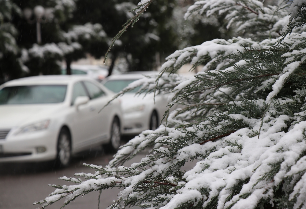 Ashgabat Covered in Snow | Photo Report